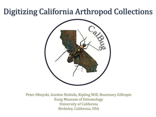 Digitizing California Arthropod Collections
Peter Oboyski, Gordon Nishida, Kipling Will, Rosemary Gillespie
Essig Museum of Entomology
University of California
Berkeley, California, USA
 
