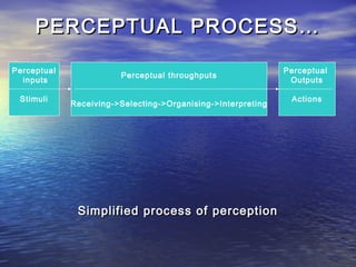 Subjective Process Ob perceptions.19134329 | PPT
