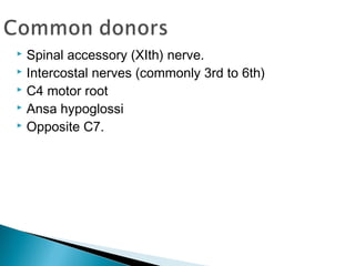  Spinal accessory (XIth) nerve.
 Intercostal nerves (commonly 3rd to 6th)
 C4 motor root
 Ansa hypoglossi
 Opposite C7.
 