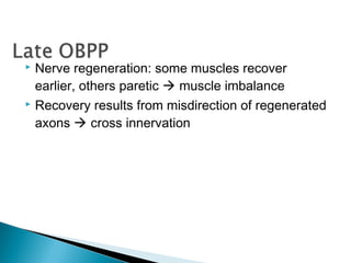  Nerve regeneration: some muscles recover
earlier, others paretic  muscle imbalance
 Recovery results from misdirection of regenerated
axons  cross innervation
 