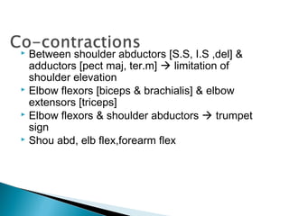  Between shoulder abductors [S.S, I.S ,del] &
adductors [pect maj, ter.m]  limitation of
shoulder elevation
 Elbow flexors [biceps & brachialis] & elbow
extensors [triceps]
 Elbow flexors & shoulder abductors  trumpet
sign
 Shou abd, elb flex,forearm flex
 