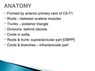  Formed by anterior primary rami of C5-T1.
 Roots – between scalene muscles
 Trunks – posterior triangle
 Divisions- behind clavicle.
 Cords in axilla.
 Roots & trunk- supraclavicular part [OBPP]
 Cords & branches – infraclavicular part
 