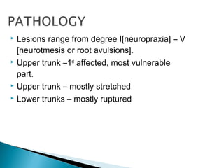  Lesions range from degree I[neuropraxia] – V
[neurotmesis or root avulsions].
 Upper trunk –1st
affected, most vulnerable
part.
 Upper trunk – mostly stretched
 Lower trunks – mostly ruptured
 
