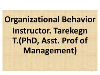 Organizational Behavior
Instructor. Tarekegn
T.(PhD, Asst. Prof of
Management)
1
 