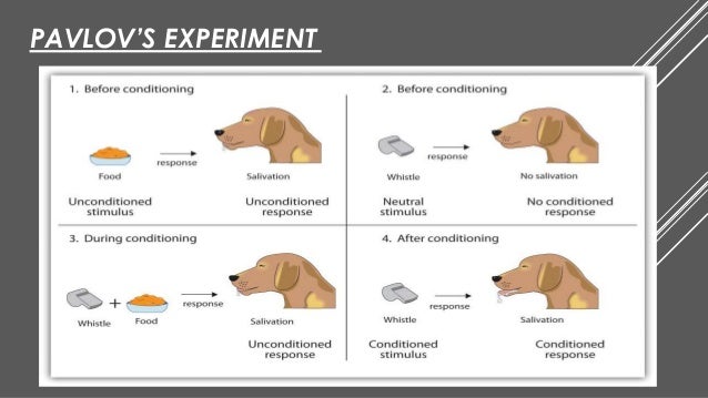 Classical Conditioning by Ivan Pavlov.
