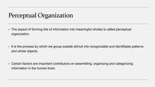 Perceptual Organization
• The aspect of forming bits of information into meaningful wholes is called perceptual
organization.
• It is the process by which we group outside stimuli into recognizable and identifiable patterns
and whole objects.
• Certain factors are important contributors on assembling, organizing and categorizing
information in the human brain.
 