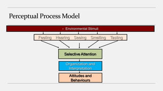 Perceptual Process Model
• Environmental Stimuli
 