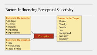 Factors Influencing Perceptual Selectivity
 