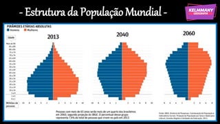 - Estrutura da População Mundial -
 
