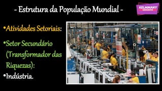 - Estrutura da População Mundial -
•Atividades Setoriais:
•Setor Secundário
(Transformador das
Riquezas):
•Indústria.
 