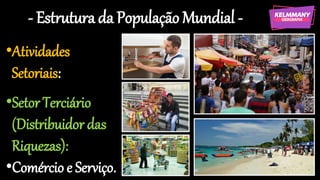 - Estrutura da População Mundial -
•Atividades
Setoriais:
•Setor Terciário
(Distribuidor das
Riquezas):
•Comércio e Serviço.
 