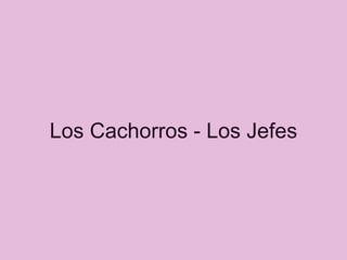 Los Cachorros - Los Jefes 