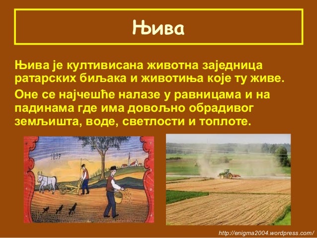 Obradive površine - kultivisane životne zajednice