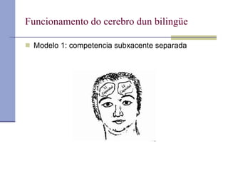 Funcionamento do cerebro dun bilingüe Modelo 1: competencia subxacente separada 