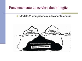 Funcionamento do cerebro dun bilingüe Modelo 2: competencia subxacente común 