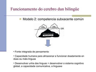 Funcionamento do cerebro dun bilingüe Modelo 2: competencia subxacente común Fonte integrada de pensamento Capacidade humana para almacenar e funcionar doadamente en dúas ou máis linguas Desenvolver unha das linguas = desenvolver o sistema cognitivo global, a capacidade comunicativa, a linguaxe 