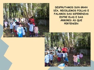 DESFRUTAMOS DUN GRAN
DÍA, RECOLLEMOS FOLLAS E
FALAMOS DAS DIFERENZAS
    ENTRE ELAS E DAS
     ÁRBORES ÁS QUE
        PERTENCEN
 