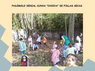 PASÁMOLO XENIAL CUNHA "CHOIVA" DE FOLLAS SECAS
 