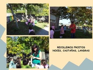 RECOLLEMOS FROITOS
NOCES, CASTAÑAS, LANDRAS
 