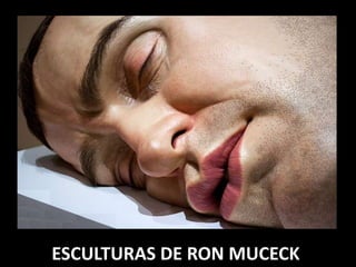 ESCULTURAS DE RON MUCECK
 
