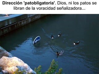 Dirección 'patobligatoria' . Dios, ni los patos se libran de la voracidad señalizadora... 