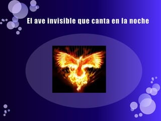 El ave invisible que canta en la noche