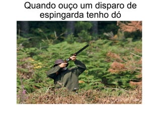 Quando ouço um disparo de espingarda tenho dó 