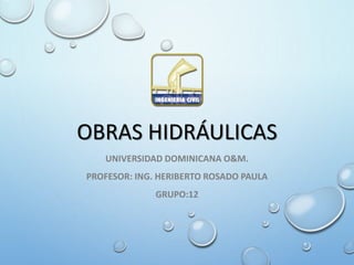 OBRAS HIDRÁULICAS 
UNIVERSIDAD DOMINICANA O&M. 
PROFESOR: ING. HERIBERTO ROSADO PAULA 
GRUPO:12 
 