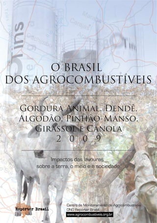 O Brasil Dos Agrocombustiveis V5