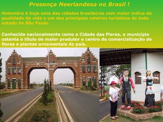 Holambra  é hoje uma das cidades brasileiras com maior índice de qualidade de vida e um dos principais roteiros turísticos de todo estado de São Paulo. Conhecida nacionalmente como a Cidade das Flores, o município ostenta o título de maior produtor e centro de comercialização de flores e plantas ornamentais do país. Presença Neerlandesa no Brasil ! 