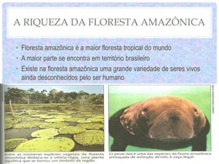 A RIQUEZA DA FLORESTA AMAZÔNICA
• Floresta amazônica é a maior floresta tropical do mundo
• A maior parte se encontra em território brasileiro
• Existe na floresta amazônica uma grande variedade de seres vivos
ainda desconhecidos pelo ser humano
 