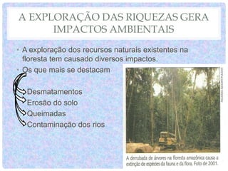 A EXPLORAÇÃO DAS RIQUEZAS GERA
IMPACTOS AMBIENTAIS
• A exploração dos recursos naturais existentes na
floresta tem causado diversos impactos.
• Os que mais se destacam
Desmatamentos
Erosão do solo
Queimadas
Contaminação dos rios
 