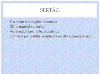 SERTÃO
• É a maior sub-região nordestina
• Clima tropical semiárido
• Vegetação dominante, a caatinga
• Formada por plantas adaptadas ao clima quente e seco
 