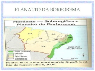 PLANALTO DA BORBOREMA
 
