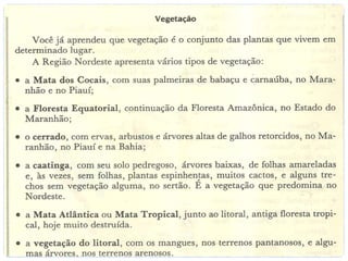 O brasil e suas regiões