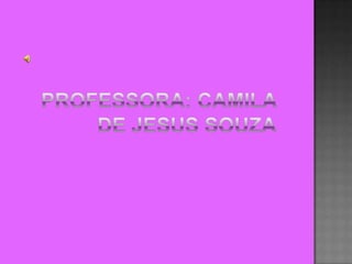 O brasil no século XIX