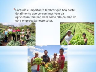 *Contudo é importante lembrar que boa parte
do alimento que consumimos vem da
agricultura familiar, bem como 80% da mão de
obra empregada nesse setor.
 