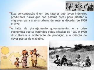*Essa concentração é um dos fatores que levou inúmeros
produtores rurais que não possuía áreas para plantar a
migrarem para a zona urbana durante as décadas de 1960
e 1970.
*A falta de planejamento governamental e a crise
econômica que se estendeu pelas décadas de 1980 e 1990
dificultaram a aceleração da produção e a criação de
novos postos de trabalho.
 