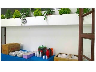 Obra social e espiritual