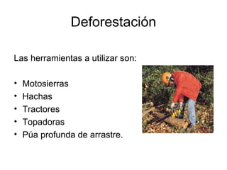 Deforestación
Las herramientas a utilizar son:
• Motosierras
• Hachas
• Tractores
• Topadoras
• Púa profunda de arrastre.
 