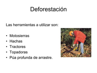 Deforestación
Las herramientas a utilizar son:
• Motosierras
• Hachas
• Tractores
• Topadoras
• Púa profunda de arrastre.
 