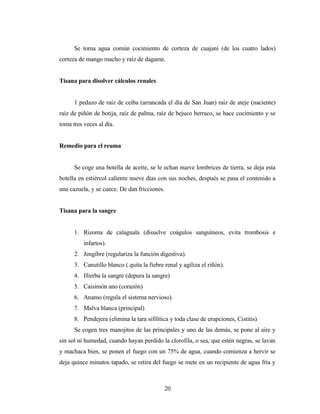 Se toma agua común cocimiento de corteza de cuajaní (de los cuatro lados)
corteza de mango macho y raíz de dagame.
Tisana para disolver cálculos renales
1 pedazo de raíz de ceiba (arrancada el día de San Juan) raíz de ateje (naciente)
raíz de piñón de botija, raíz de palma, raíz de bejuco berraco, se hace cocimiento y se
toma tres veces al día.
Remedio para el reuma
Se coge una botella de aceite, se le echan nueve lombrices de tierra, se deja esta
botella en estiércol caliente nueve días con sus noches, después se pasa el contenido a
una cazuela, y se cuece. De dan fricciones.
Tisana para la sangre
1. Rizoma de calaguala (disuelve coágulos sanguíneos, evita trombosis e
infartos).
2. Jengibre (regulariza la función digestiva).
3. Canutillo blanco ( quita la fiebre renal y agiliza el riñón).
4. Hierba la sangre (depura la sangre)
5. Caisimón ano (corazón)
6. Anamo (regula el sistema nervioso).
7. Malva blanca (principal)
8. Pendejera (elimina la tara sifilítica y toda clase de erupciones, Cistitis)
Se cogen tres manojitos de las principales y uno de las demás, se pone al aire y
sin sol ni humedad, cuando hayan perdido la clorofila, o sea, que estén negras, se lavan
y machaca bien, se ponen el fuego con un 75% de agua, cuando comienza a hervir se
deja quince minutos tapado, se retira del fuego se mete en un recipiente de agua fría y
20
 