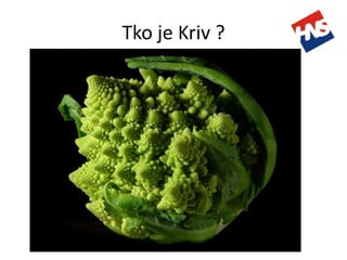 Obrazovanje Za Realni Sektor