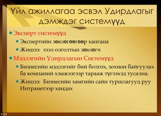 Үйл ажиллагаа эсвэл Удирдлагыг дэмждэг системүүд Эксперт системүүд Экспертийн зөвлөгөөгөөр хангана Жишээ :  зээл олголтын зөвлөгч Мэдлэгийн Удирдлагын Системүүд Бизнесийн мэдлэгийг бий болгох, зохион байгуулах ба компаний хэмжээгээр тарааж түгээхэд тусална. Жишээ :  Бизнесийн хамгийн сайн туршлагууд руу Интранетээр хандах 1- 