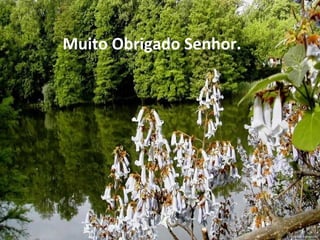 Muito Obrigado Senhor. . .
 