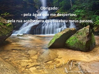 Obrigado:
         - pela água que me despertou,
- pela rua acolhedora que recebeu meus passos,
 