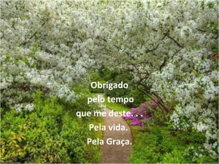 Obrigado
  pelo tempo
que me deste. . .
  Pela vida.
  Pela Graça.
 