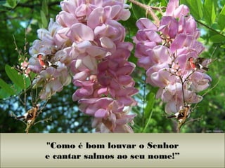"Como é bom louvar o Senhor
e cantar salmos ao seu nome!”
 
