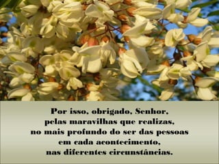 Por isso, obrigado, Senhor,
pelas maravilhas que realizas,
no mais profundo do ser das pessoas
em cada acontecimento,
nas diferentes circunstâncias.
 
