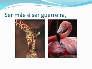 Ser mãe é ser guerreira,